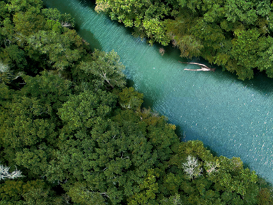 Vue aérienne d’une rivière qui coule à travers une forêt verdoyante 