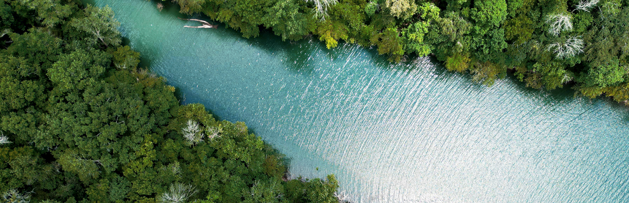 Photo d’une rivière qui coule à travers une forêt verdoyante.